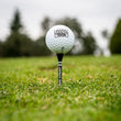 Load image into Gallery viewer, Bamboo Golf Tees (50 pack)