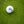 Load image into Gallery viewer, Bamboo Golf Tees (50 pack)
