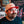 Load image into Gallery viewer, Upside down Hat
