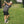 Load image into Gallery viewer, Striped Jersey
