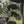 Load image into Gallery viewer, Knit Golf Headcovers
