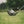 Load image into Gallery viewer, TaylorMade Distance+ Golf Balls (3 pack)
