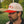 Load image into Gallery viewer, Upside down Hat
